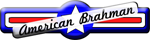 American Brahman